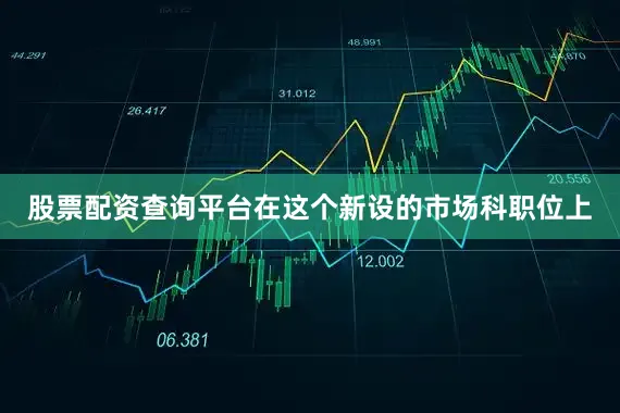 股票配资查询平台在这个新设的市场科职位上